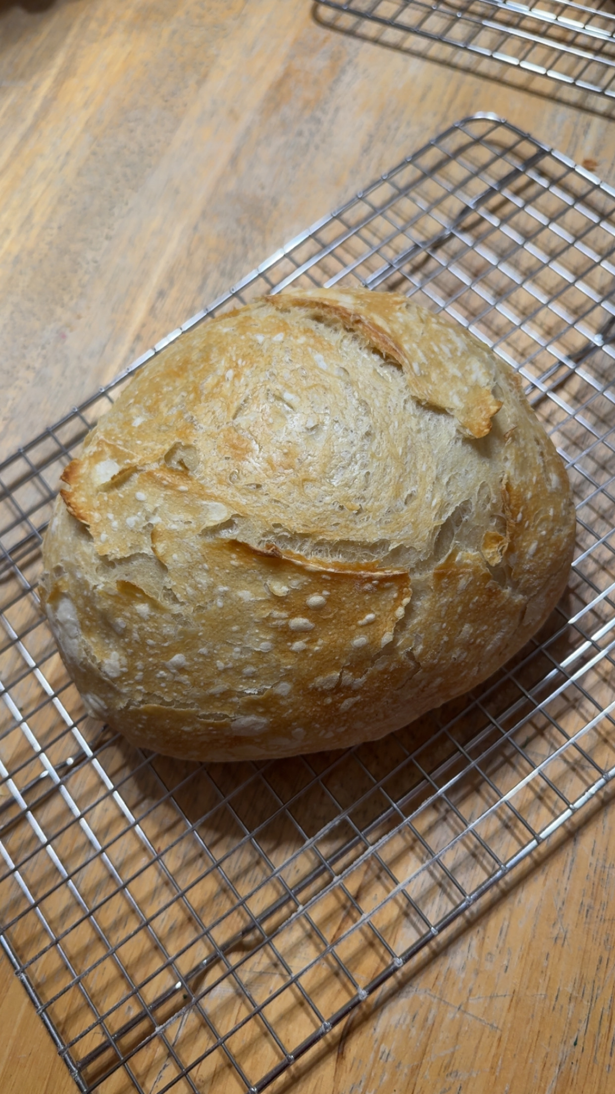 Sourdough Loaf