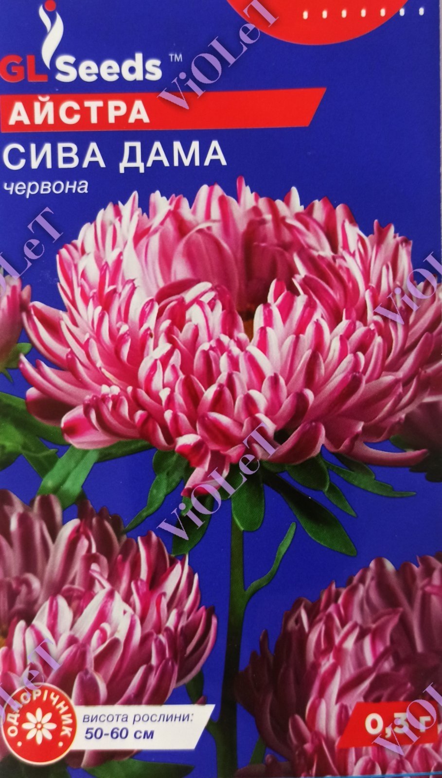 Айстра Сива Дама червона, 0,3 г GL Seeds
