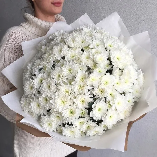 Букет з 25 білих хризантем Балтика