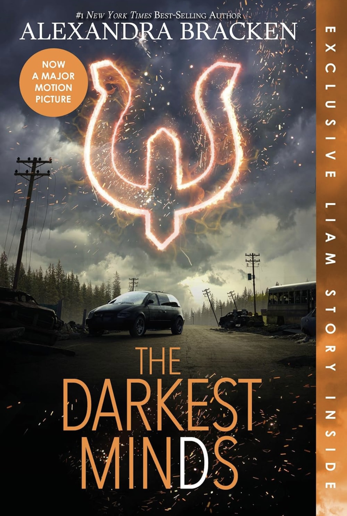 Darkest Minds, The (Bonus Content) (A Darkest Minds Novel) Alexandra Bracken book 1