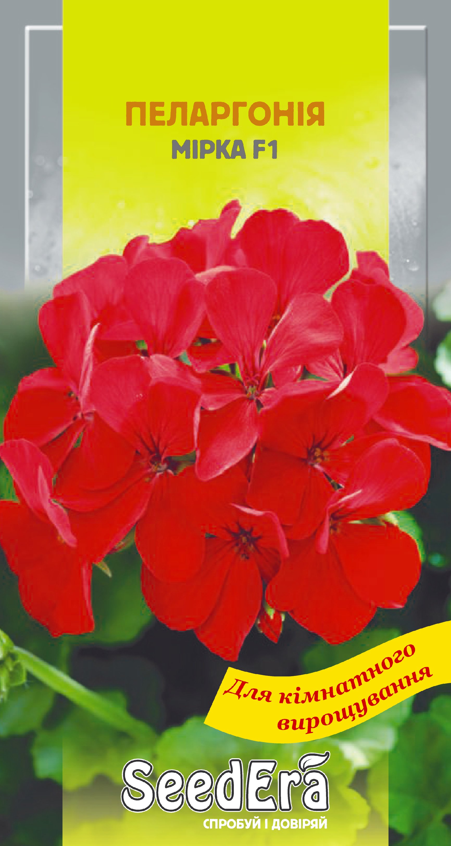 Насіння Міні-кімнатні Квіти Пеларгонія червона Мірка F1, 5 шт.