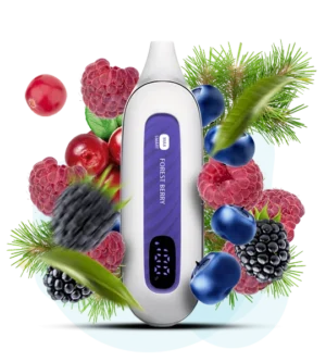 FLONQ MAX SMART 12000 Forest Berries ( Лісові Ягоди)