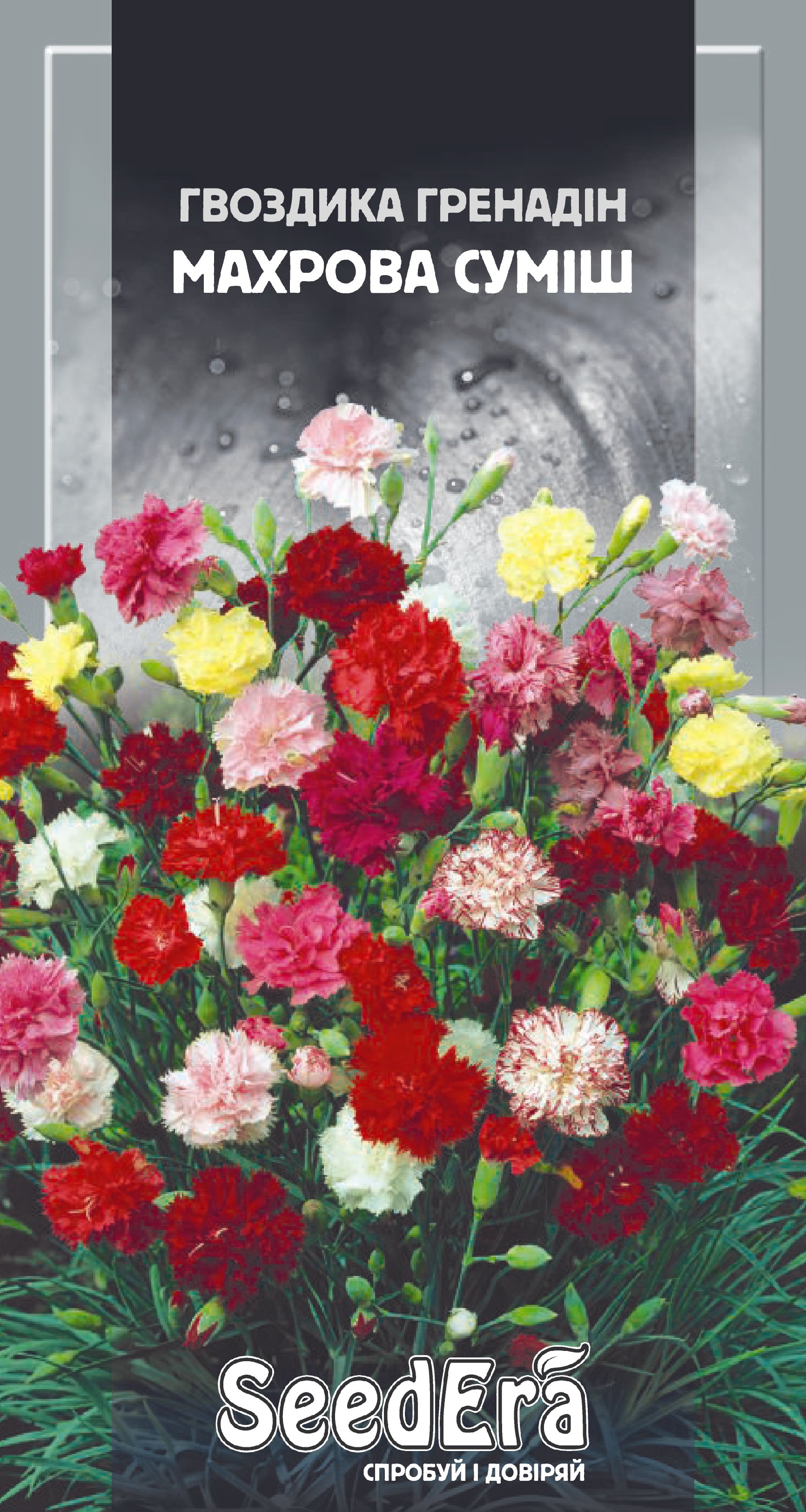 Насіння Квіти Гвоздика Гренадін махрова суміш, 0,3 г