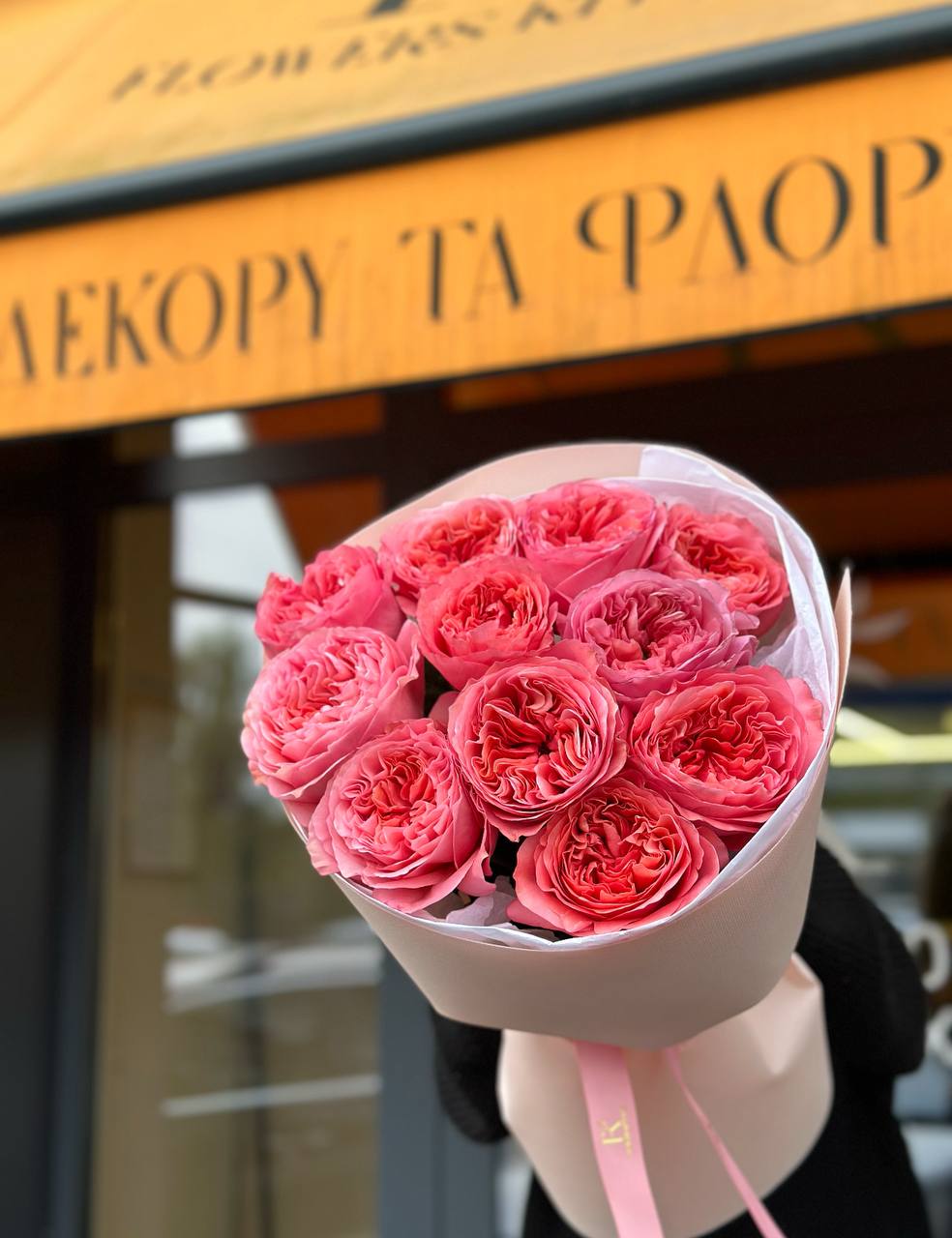 11 піоновидних троянд сорту Candy Expression в упакуванні