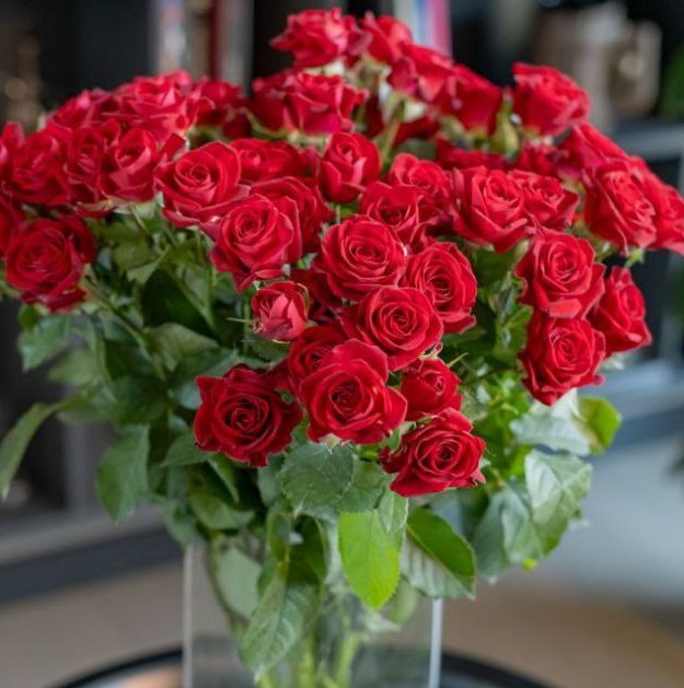 Домініка (Dominica)