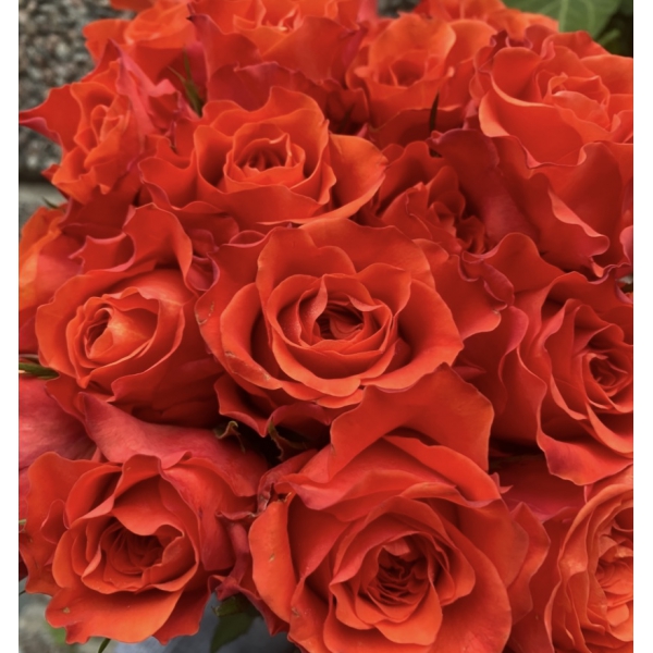 Табаско (ч/г) — TABASCO