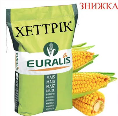 Насіння кукурудзи гібрид ЄС Хеттрік ФАО 350 Кукурудза високої врожайності