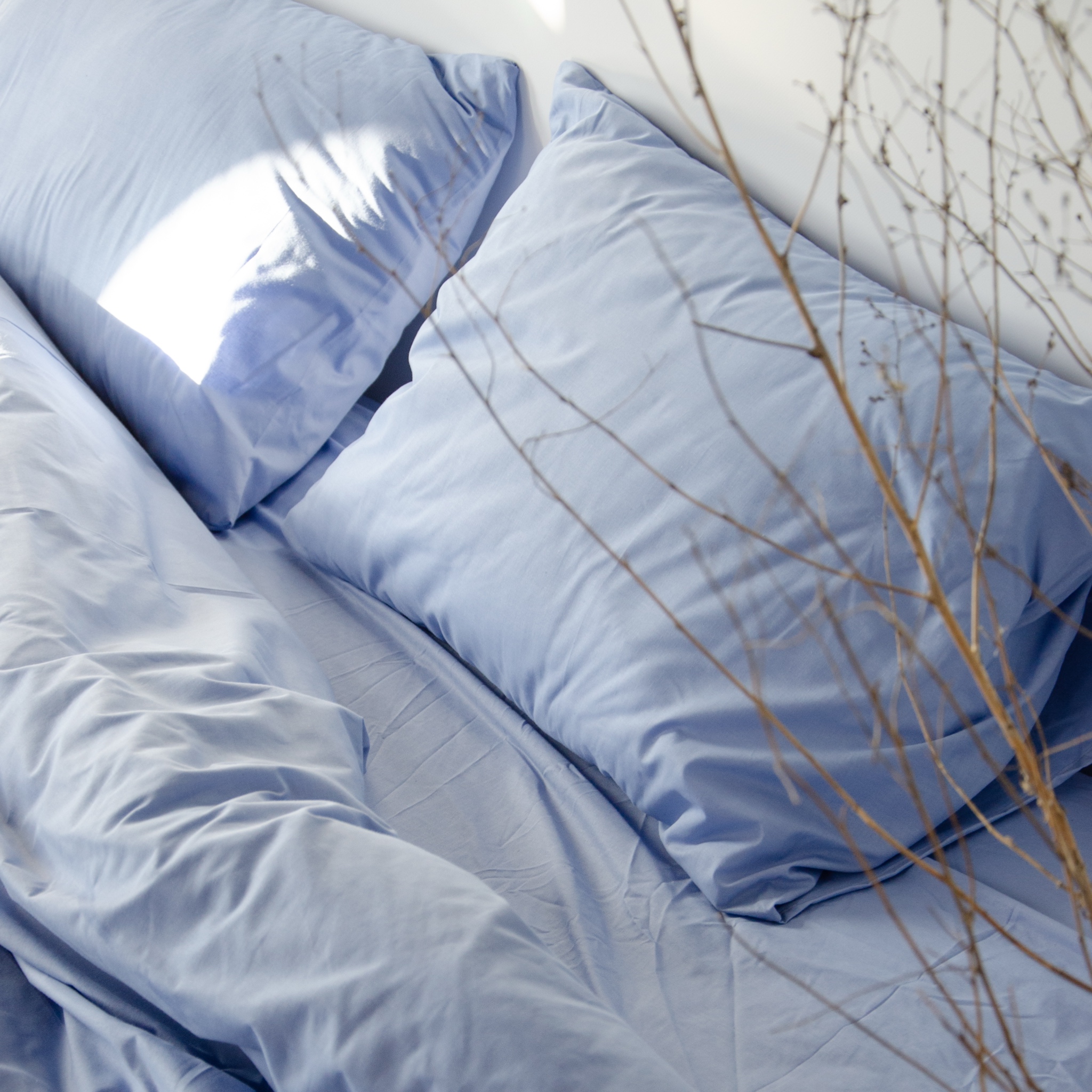 Постільний комплект Матова 100% бавовна Волошка