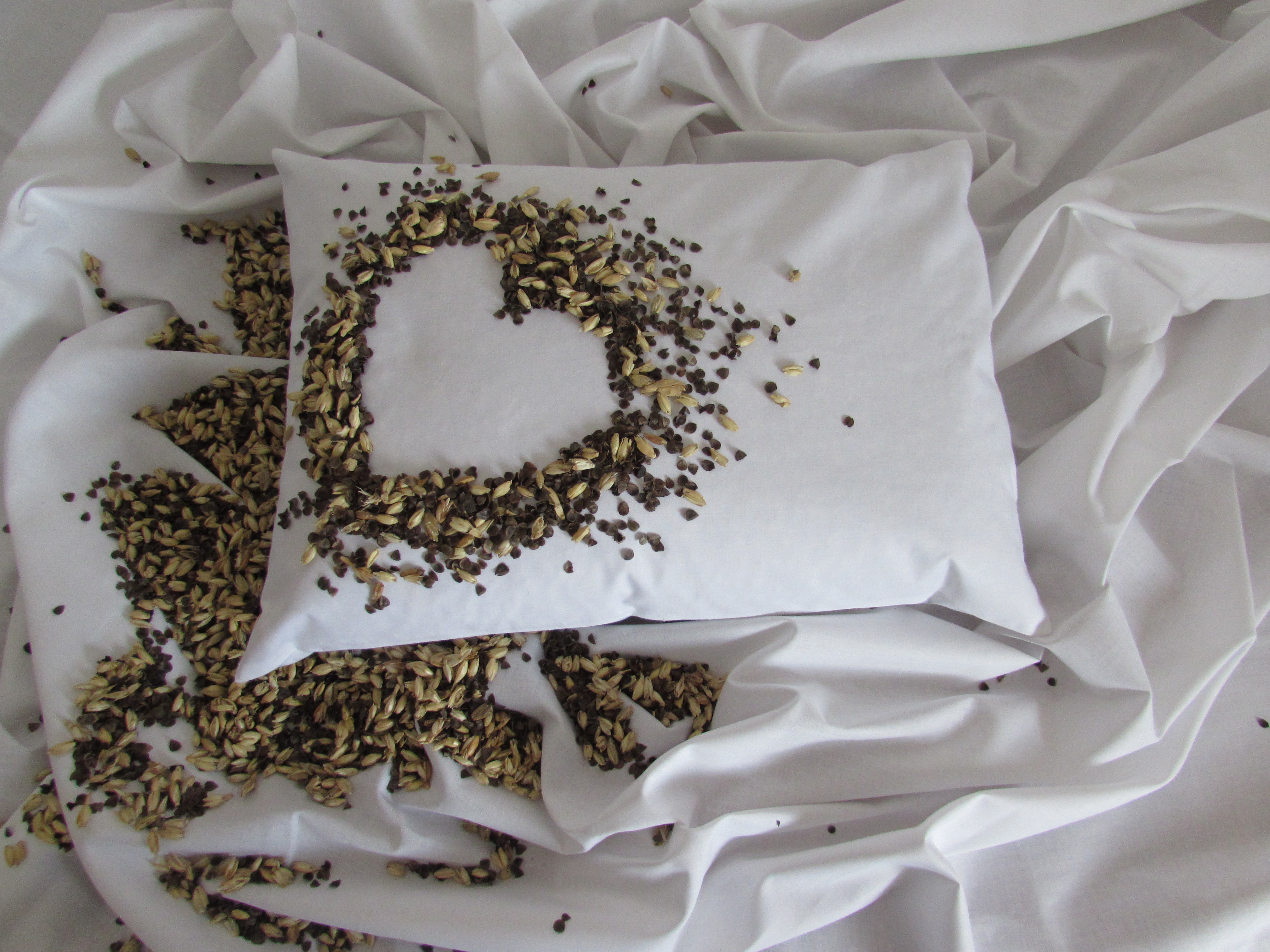 Pohánkovo-špaldový vankúš 30x40cm