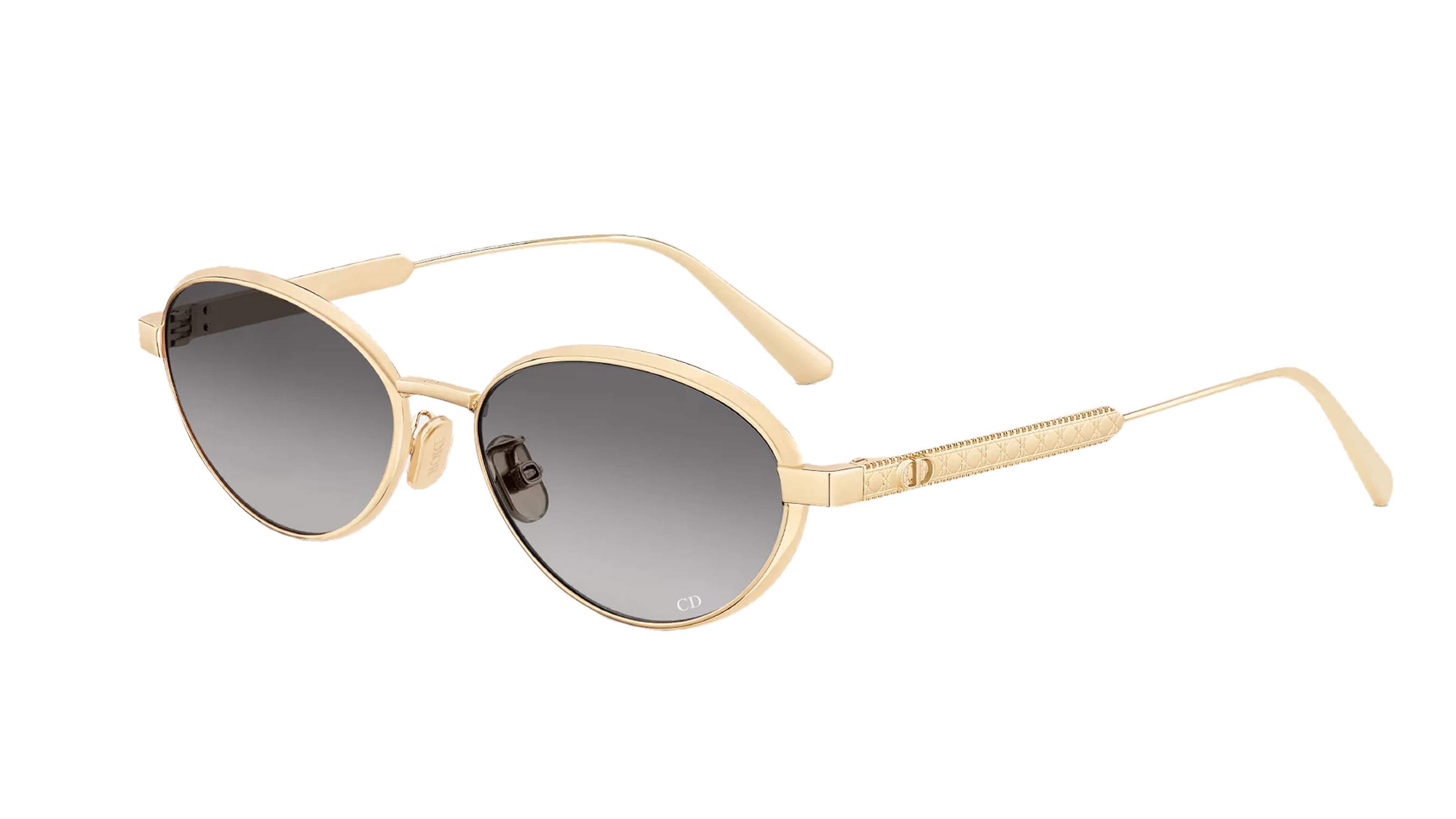 DIOR DIORCANNAGE R1U B0A1