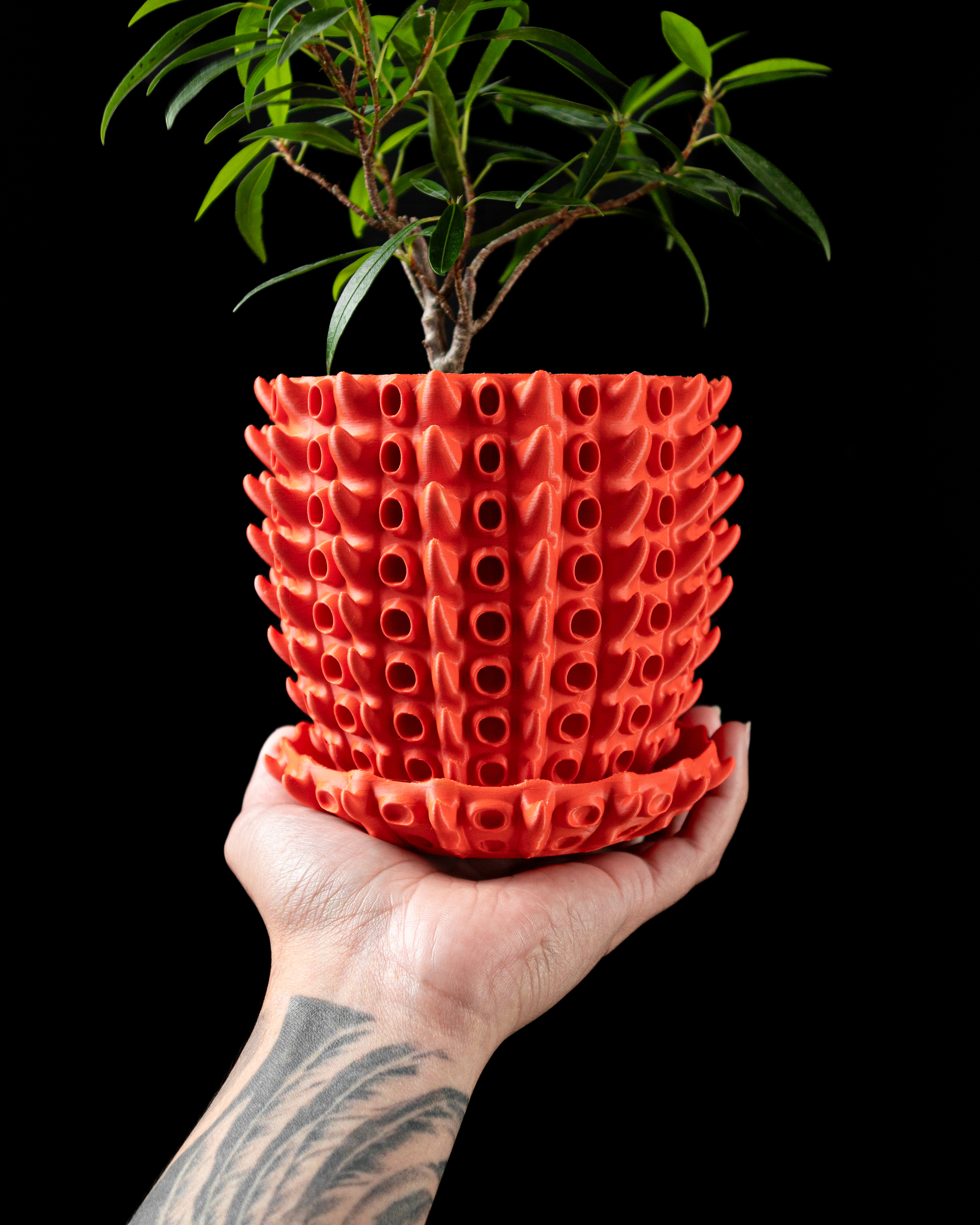 Barnacle Planter Pot – Modern 3D Printed Planter