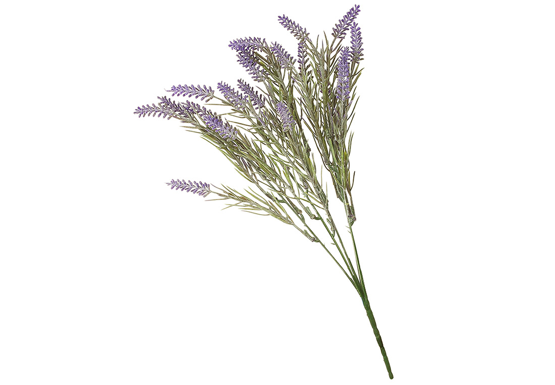 Гілка Лаванди