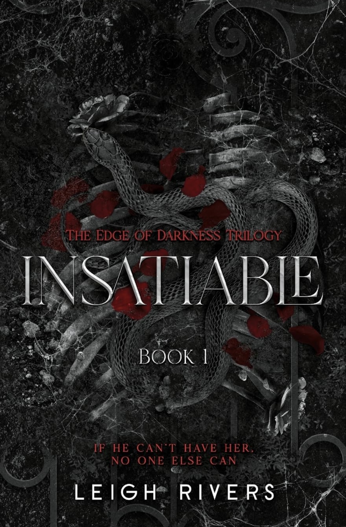 Insatiable (The Edge of Darkness: Book 1) (The Edge of Darkness Trilogy) Leigh Rivers