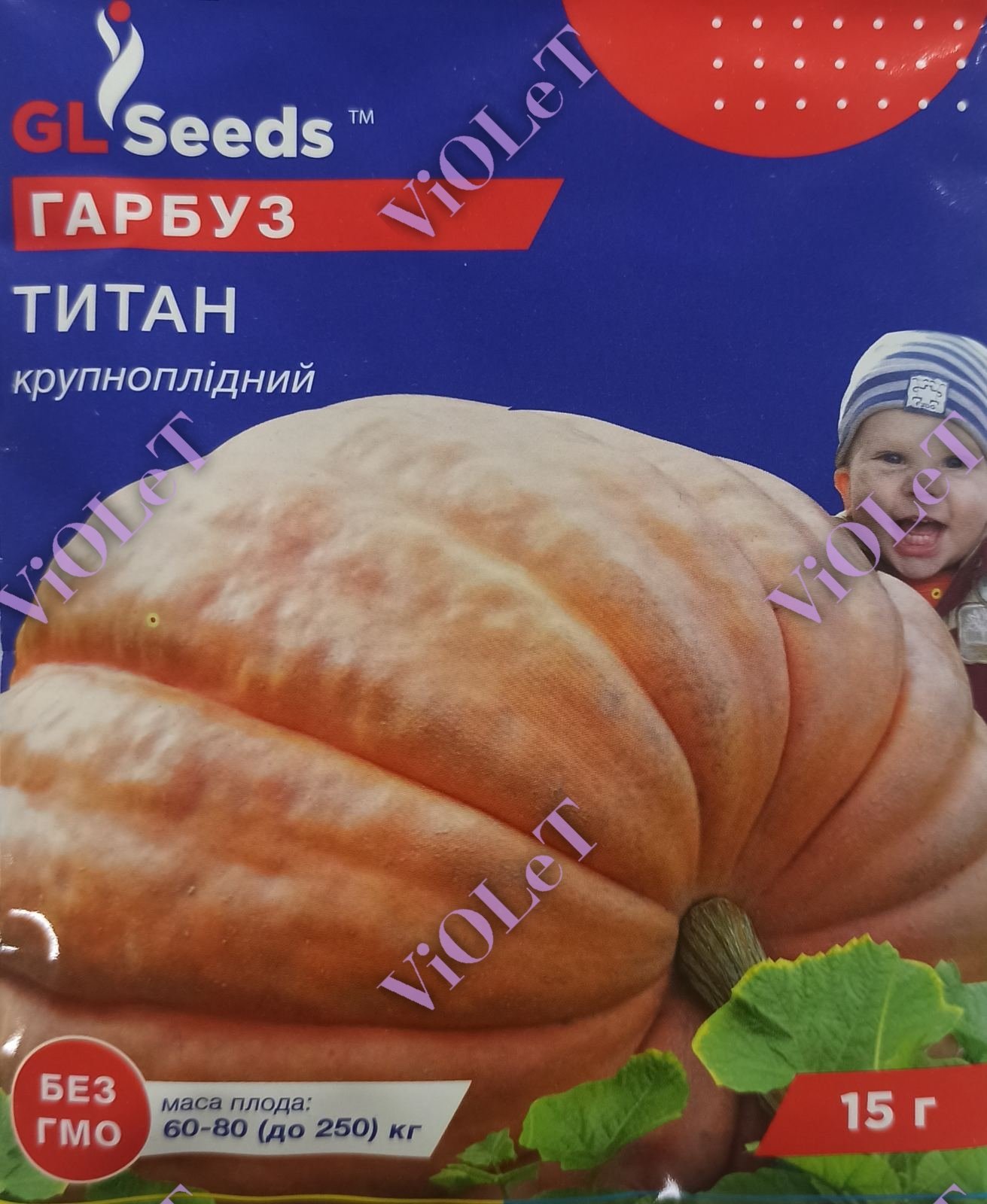 Гарбуз Титан крупноплідний, 15 г GL Seeds