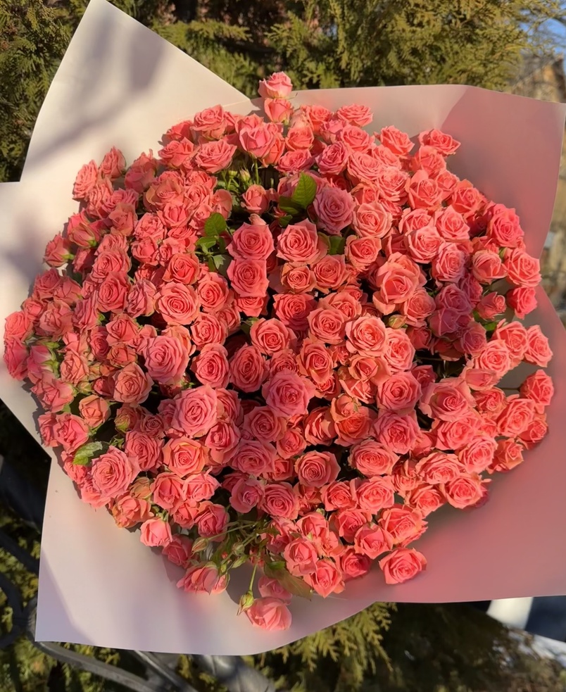 51 гілкових троянд "Пінк Ванесса"