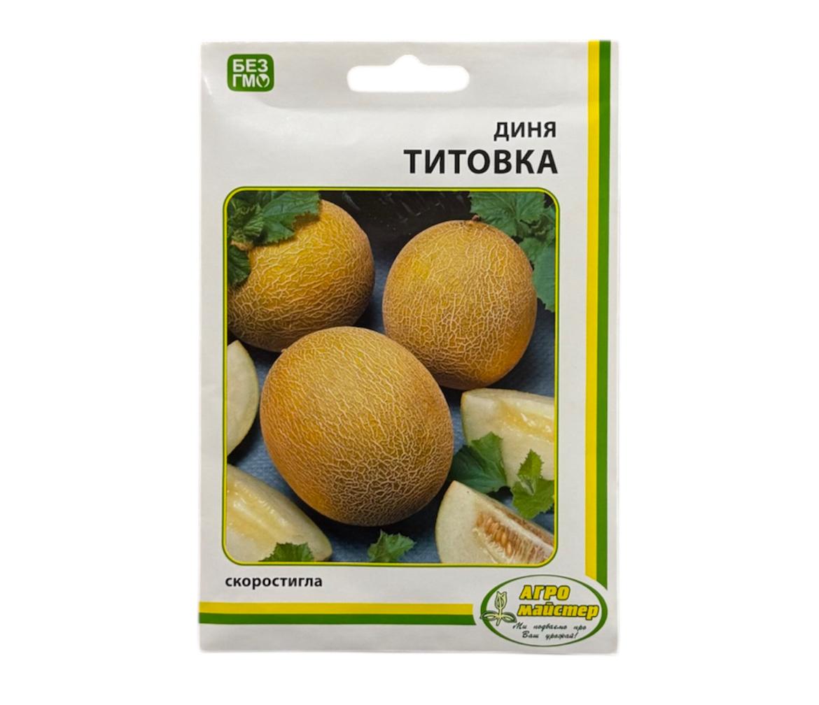 Диня тітовка