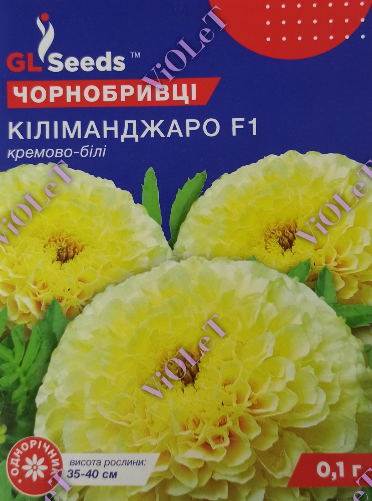 Чорнобривці Кіліманджаро F1 кремово-білі, 0,1 г GL Seeds
