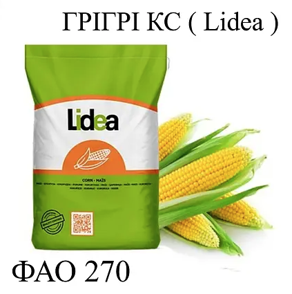 Насіння кукурудзи гібрид ЄС Грігрі ФАО 270 Кукурудза високої врожайності