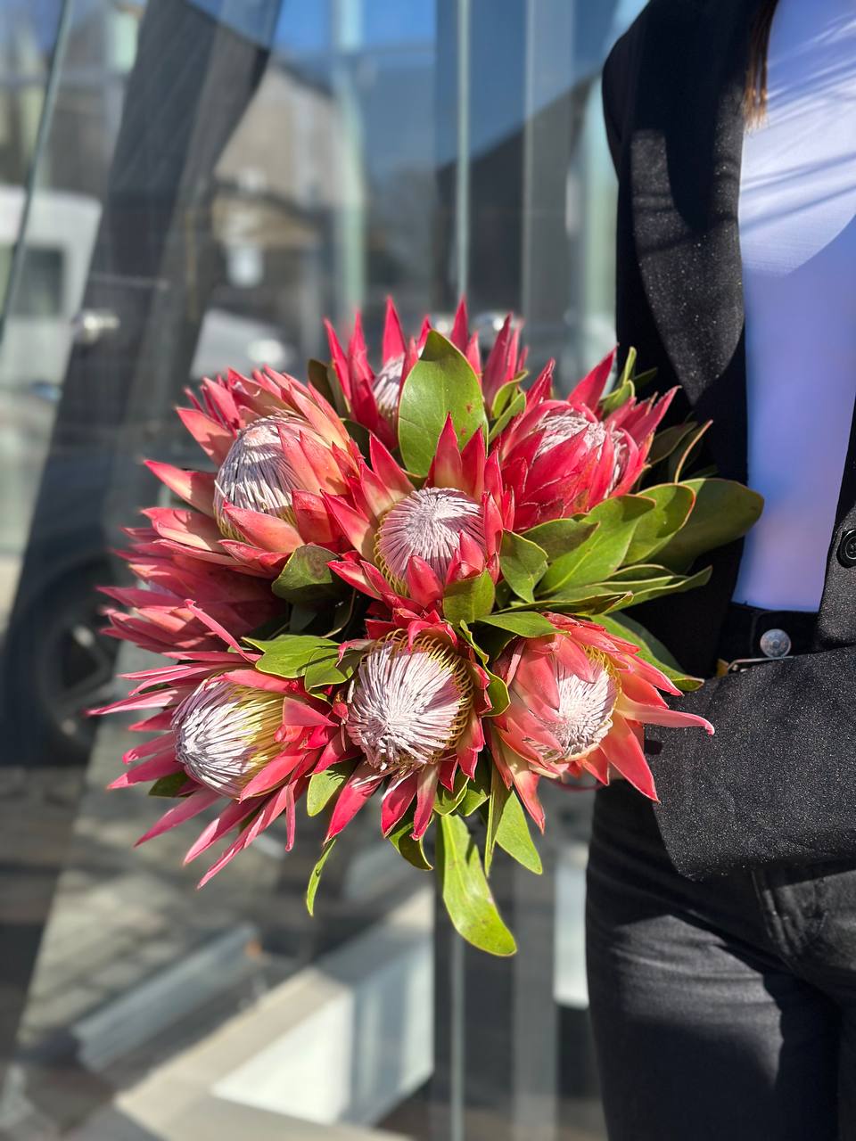 Протея королівська