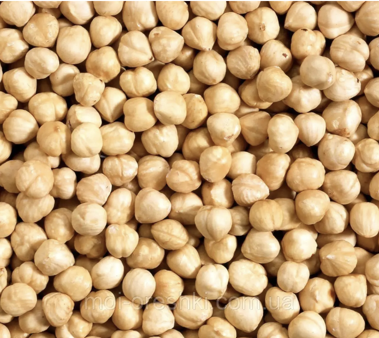 Фундук сирий (Грузія)