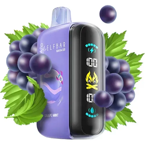 Elfbaг RAYA D3 25000 Grape Mint (Виноград М'ята)