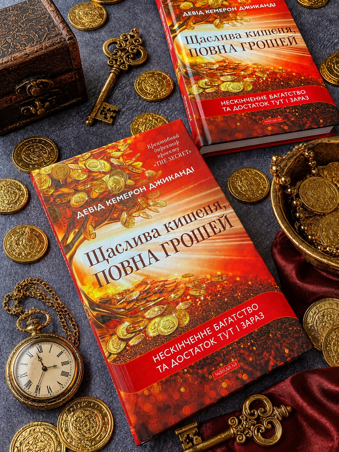 Книга «Щаслива кишеня, повна грошей». Девід Кемерон Джиканді