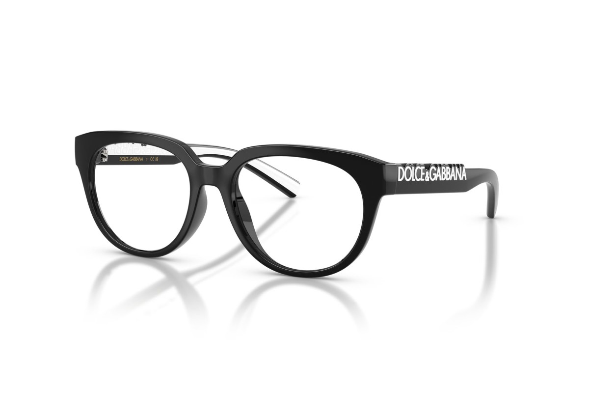 DOLCE & GABBANA DX 5007 501 49