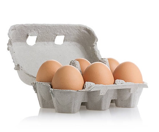 6 OEUFS FRAIS BIO CATEGORIE A CALIBRE L (63/73GR)
