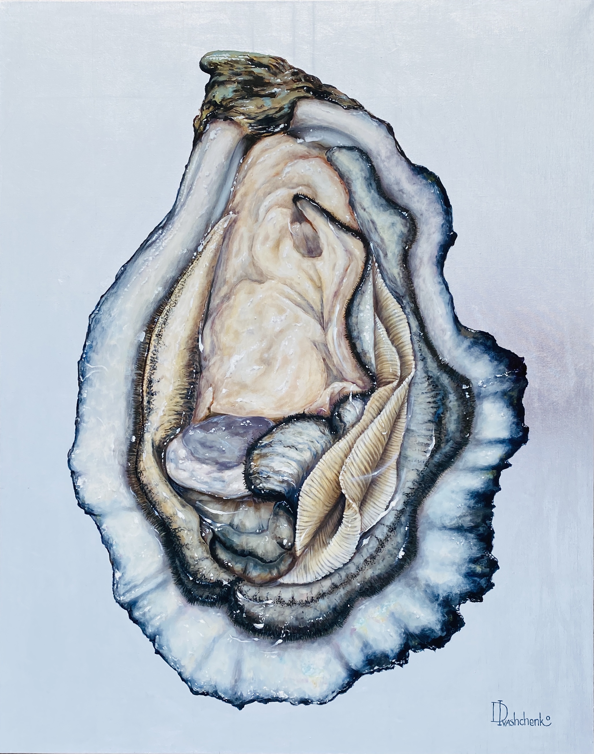 Oyster Print Silver