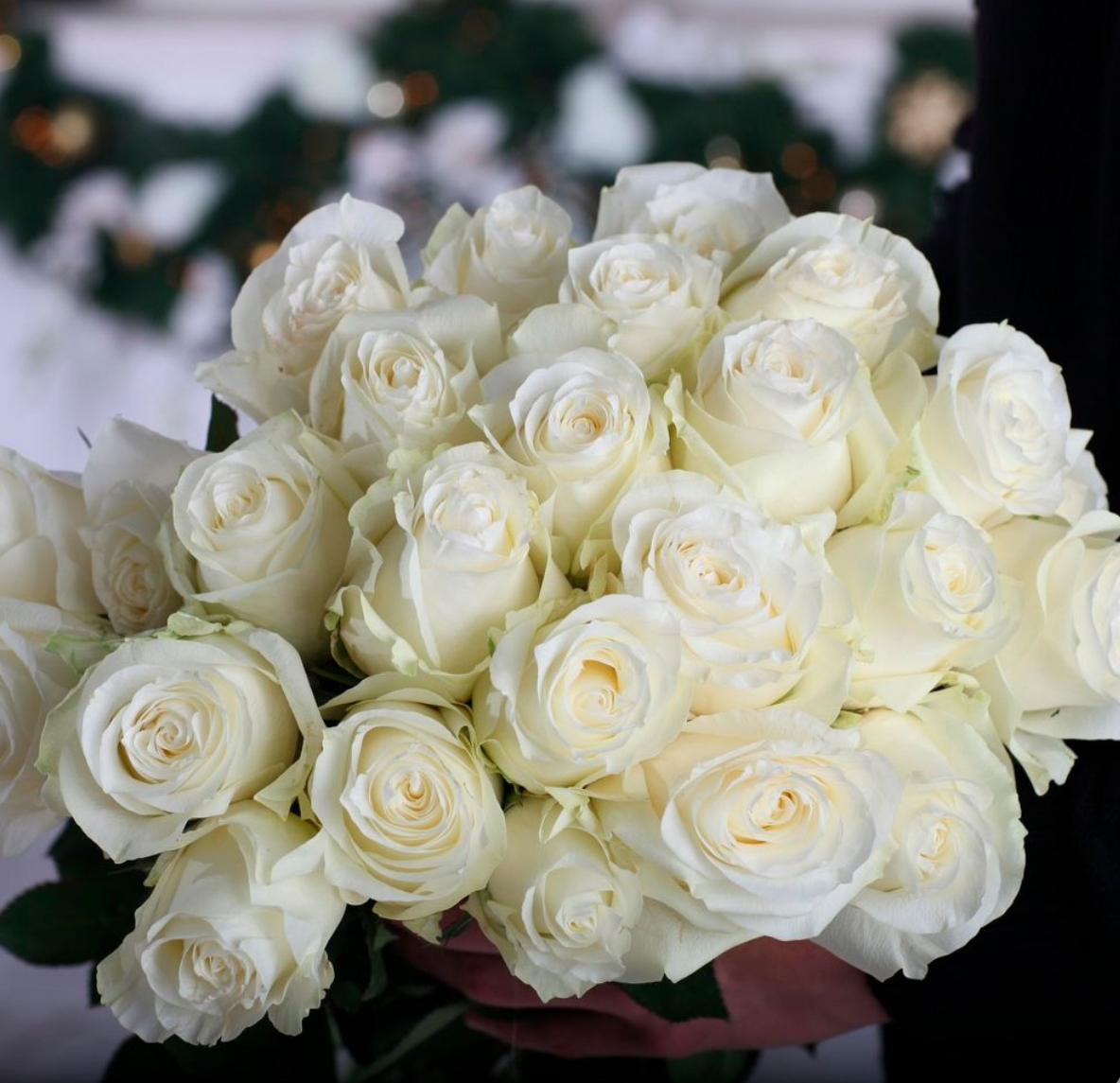 Троянда Проуд 2р(ЗКС)