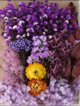 PURPLE DRY FLOWER