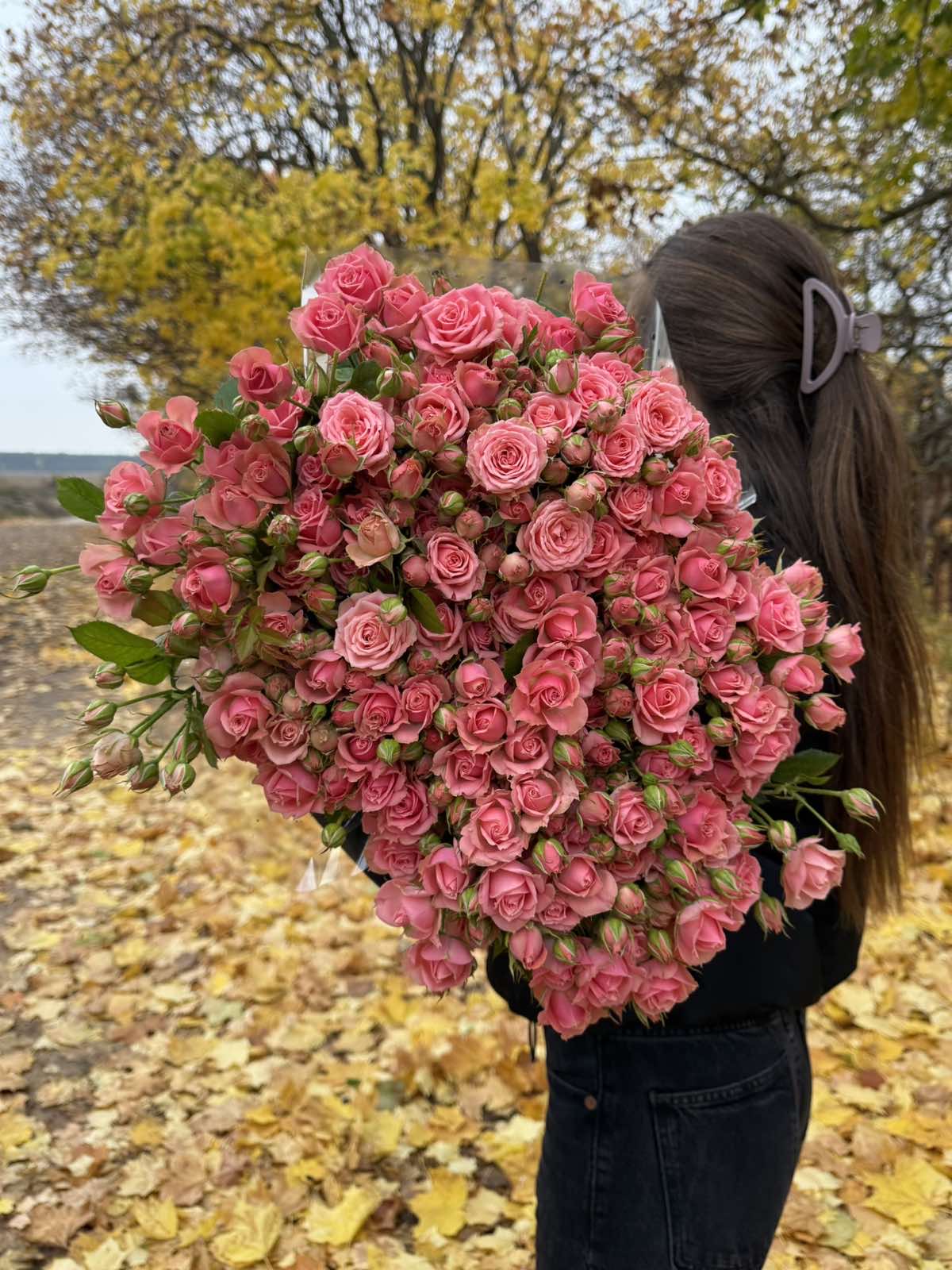 Гілкова троянда "Пінк Ванесса"