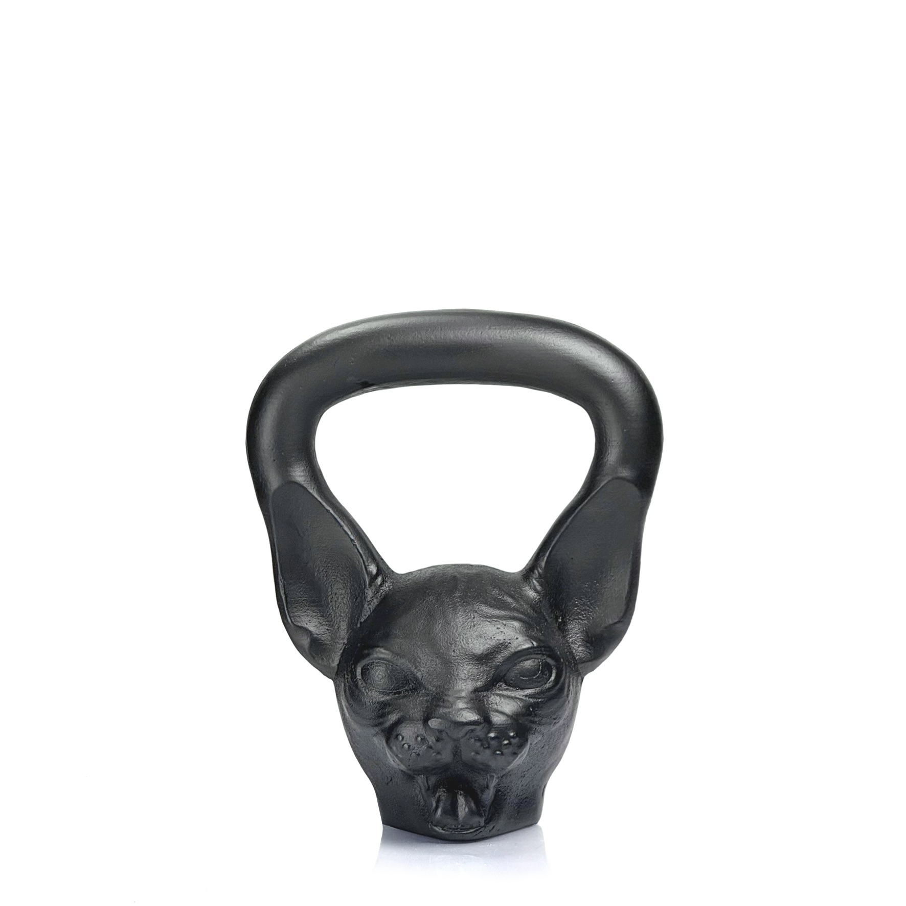 Cat 8 kg