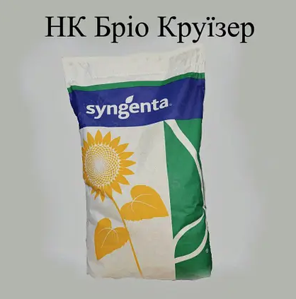 Насіння соняшнику Syngenta НК Бріо Круїзер + EPIVIO Energy, насіння соняшнику Сингента