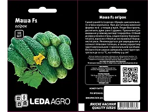 Маша F1, 10 - 50 нас  (ЛАН)