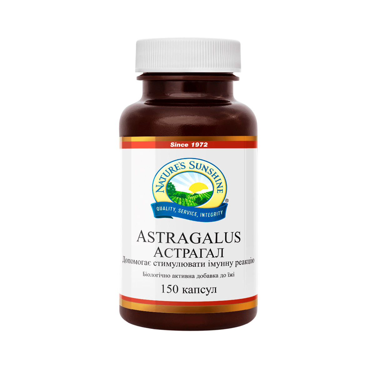 Астрагал (Astragalus)