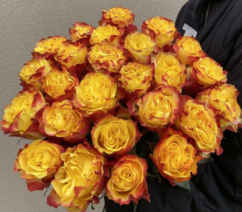 Сансет Експрешн (Sunset X-Pression)