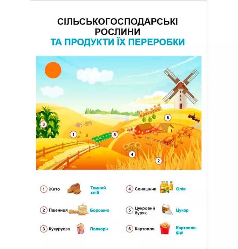 Плакат «Сільськогосподарські рослини та продукти їх переробки»