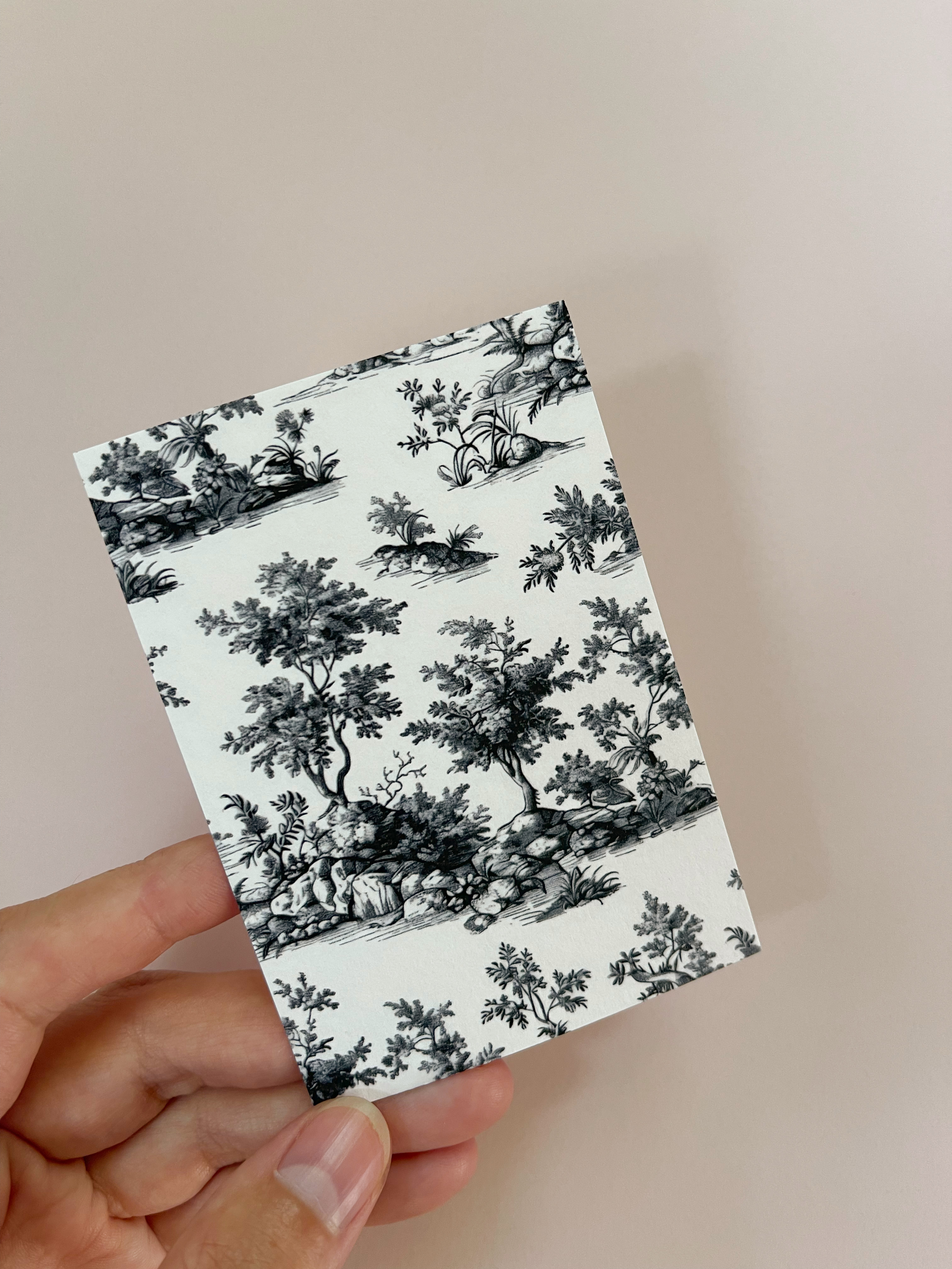 Листівка M5276