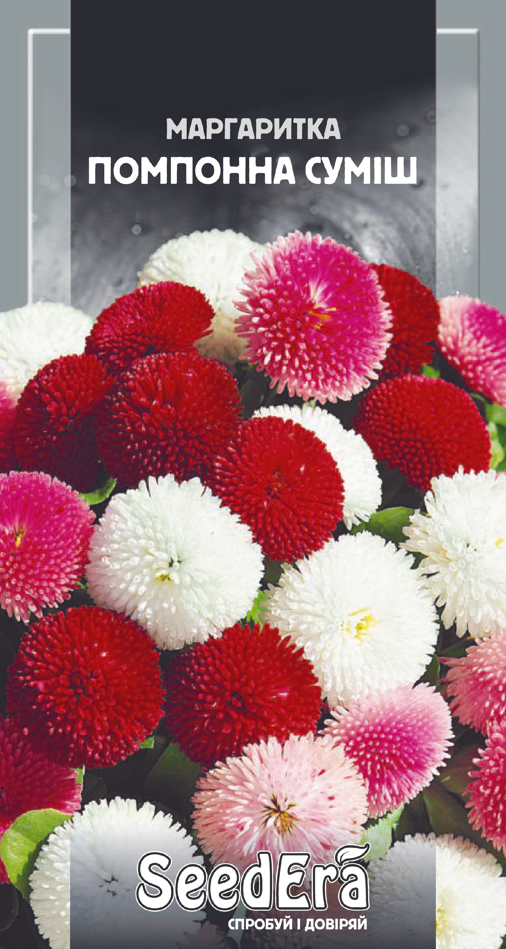 Насіння Квіти Маргаритка помпонна суміш, 0,05 г