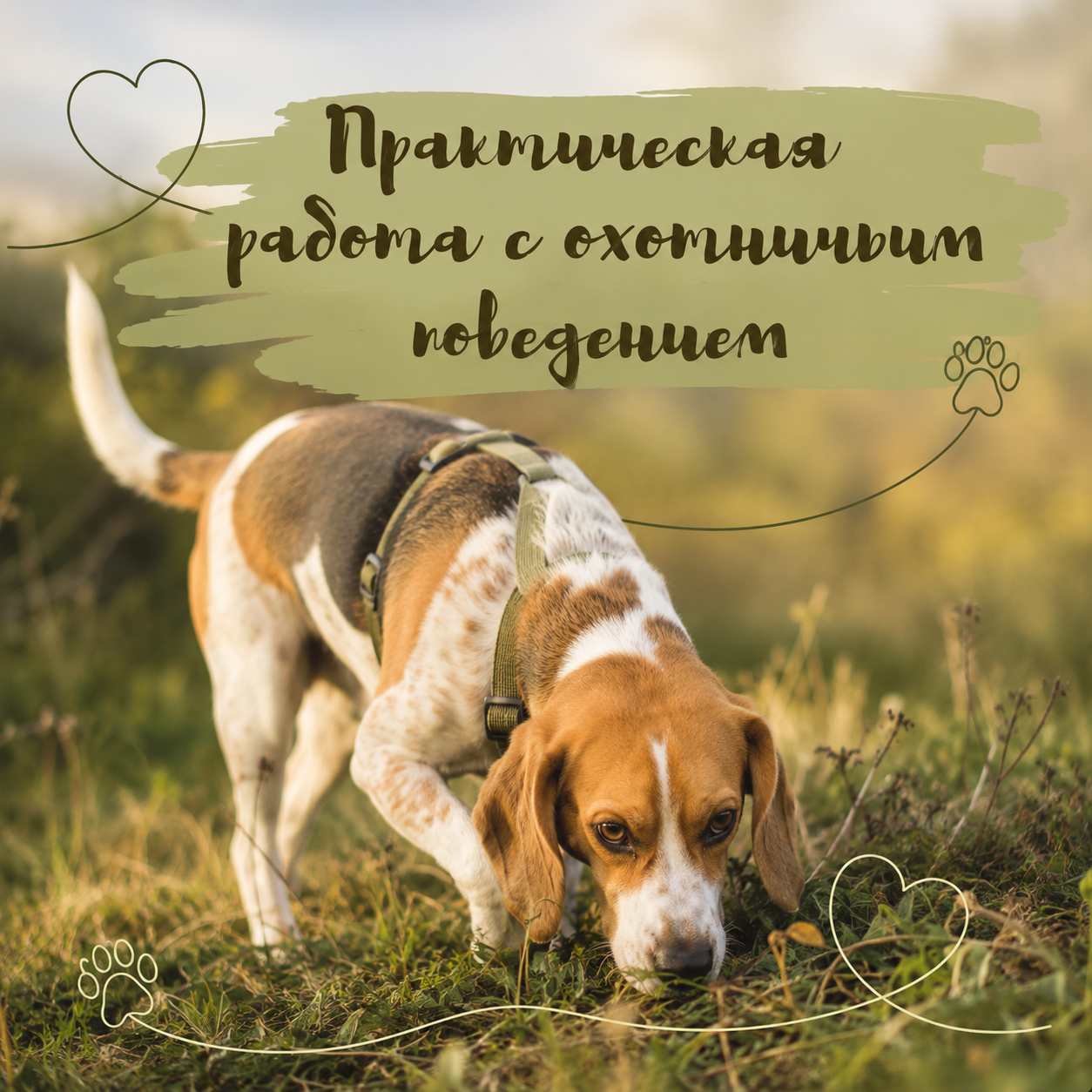 Практическая работа с охотничьим поведением