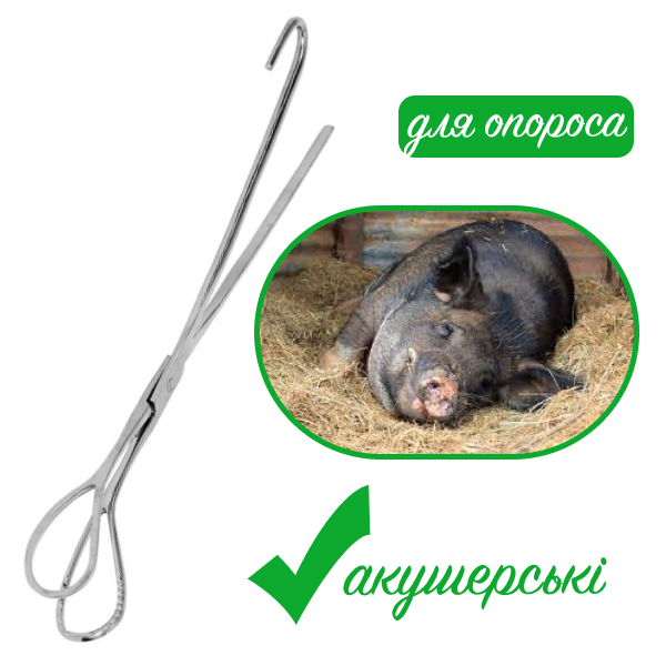 Щипці для опоросу (акушерські)