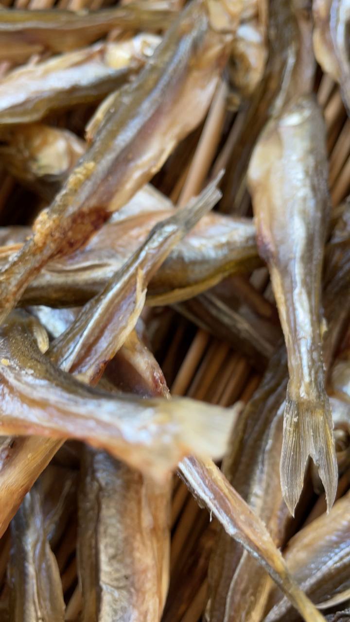 Корюшка Балтійська