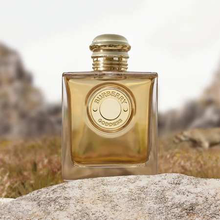310	Альтернатива GODDESS / BURBERRY