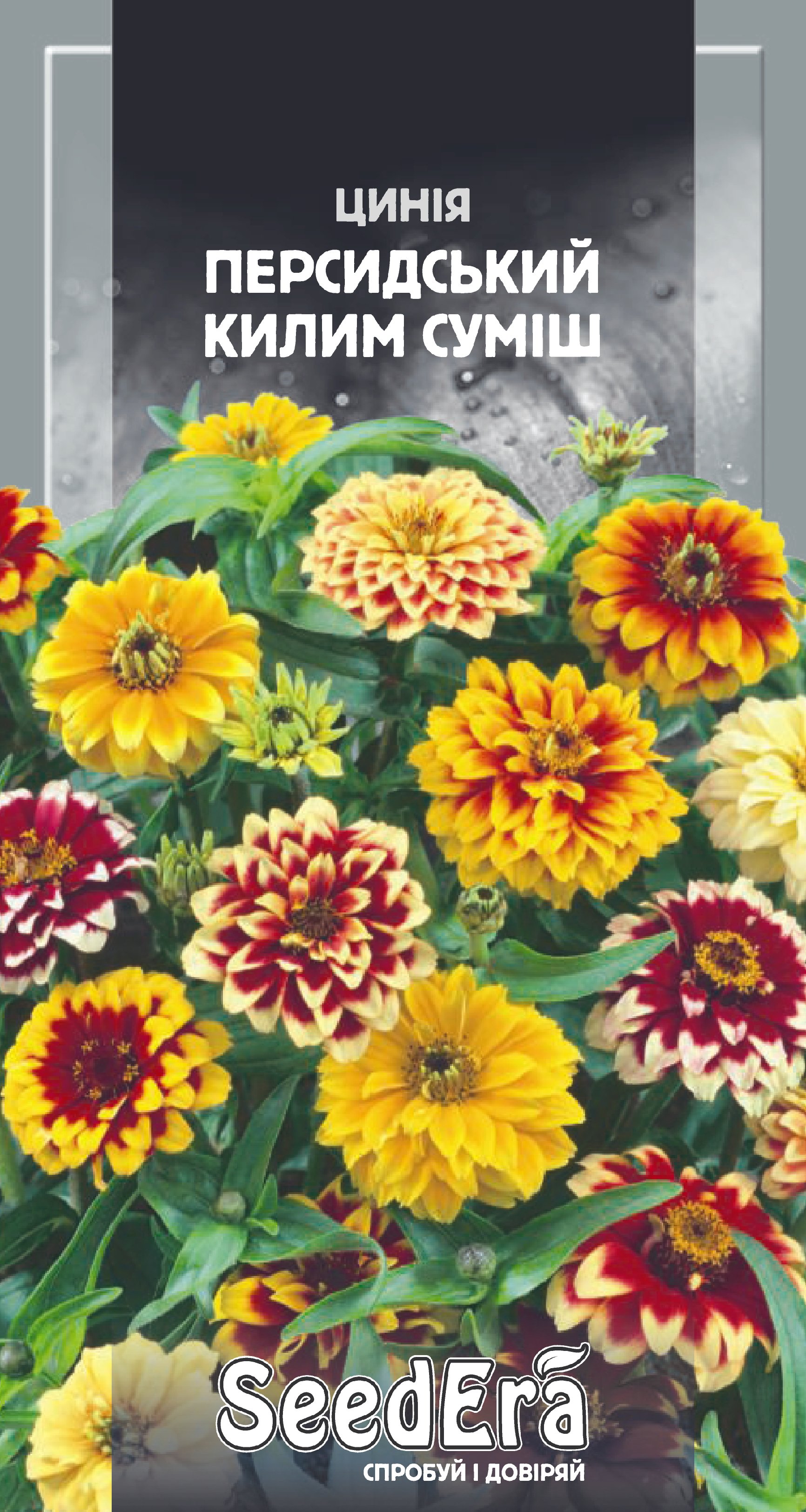 Насіння Квіти Цинія Персидський килим суміш, 0,5 г