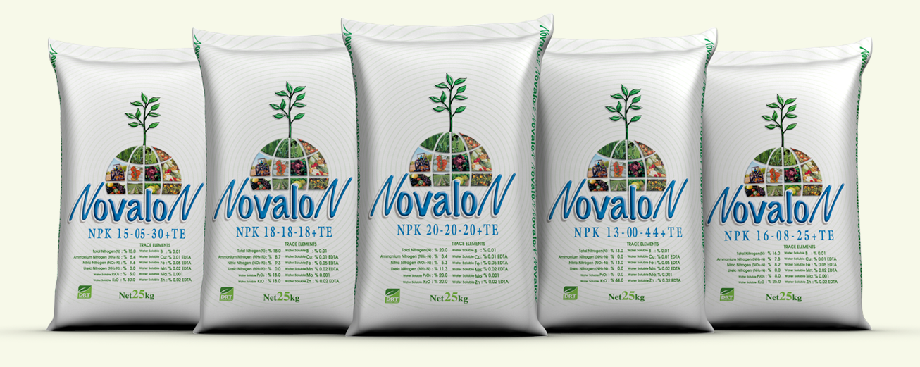 Novalon
