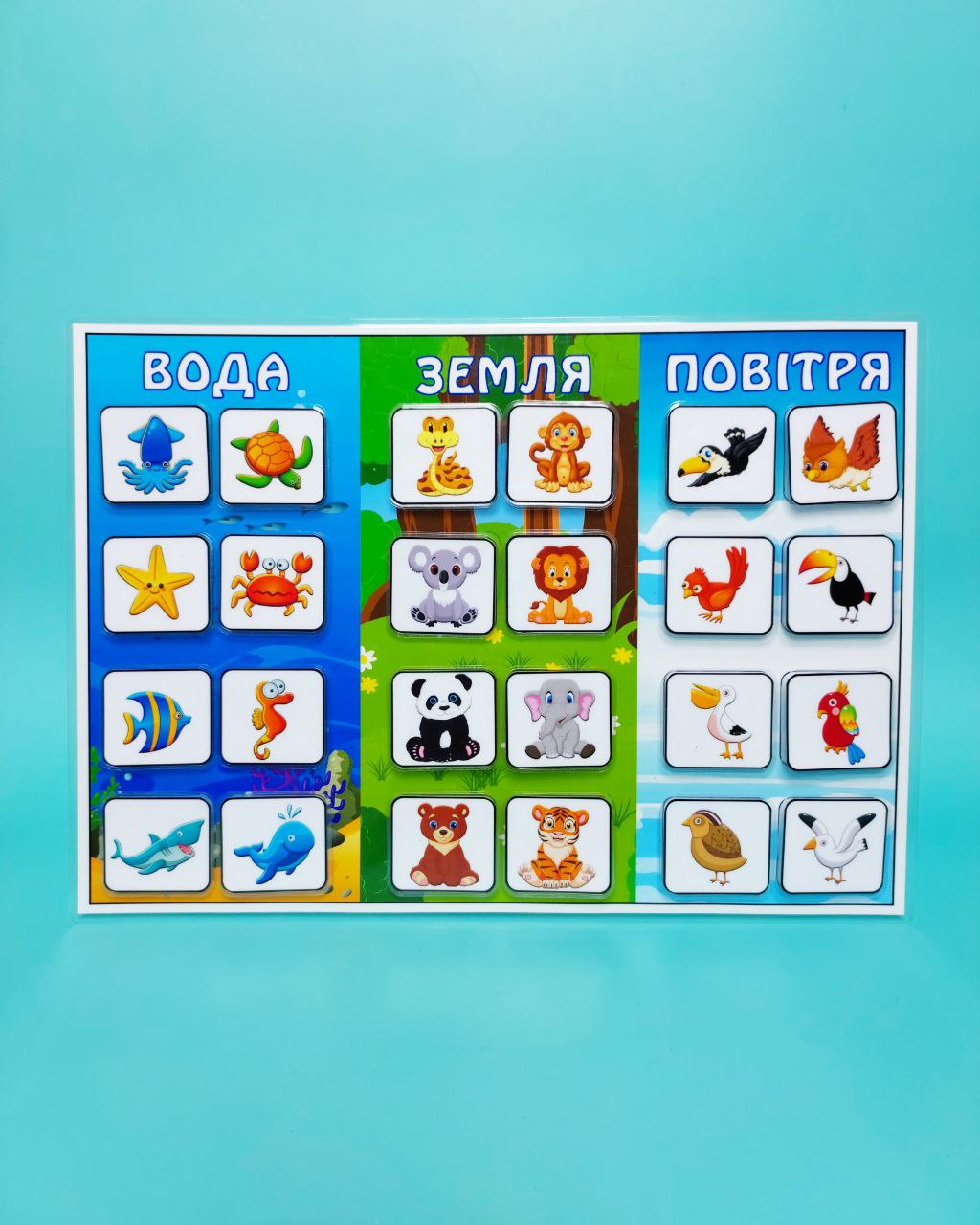 Вода земля повітря