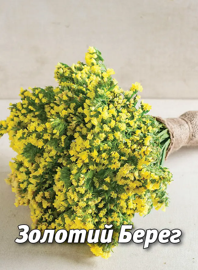 Золотий Берег, кермек жовтий 5 г (ЛАН)