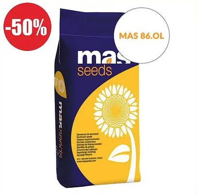 Насіння соняшнику MAS 86.OL MAS Seeds, насіння високоврожайного соняшнику Мас сідс