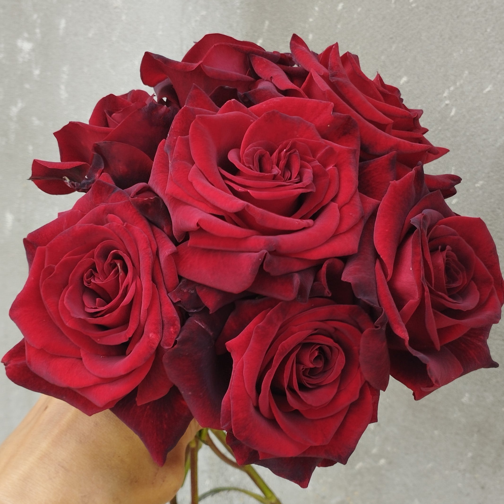 Блек Меджик (Black Magic)